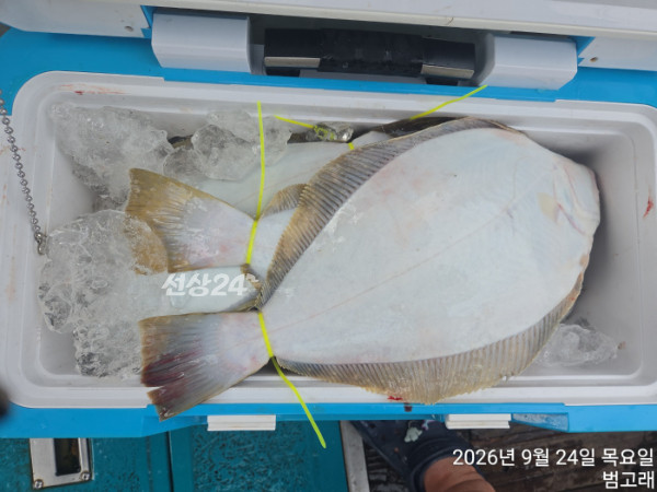 KakaoTalk_20260924_150106870.jpg