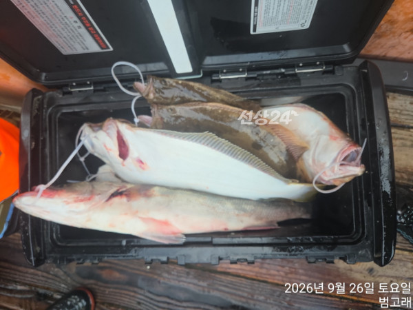 KakaoTalk_20260926_181608794.jpg