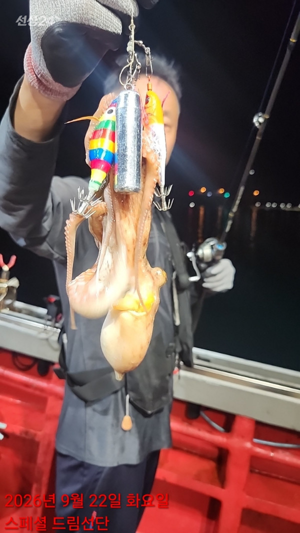 쎄븐피싱클럽(선상 버스출조전문)_사진_20260922_16.jpg