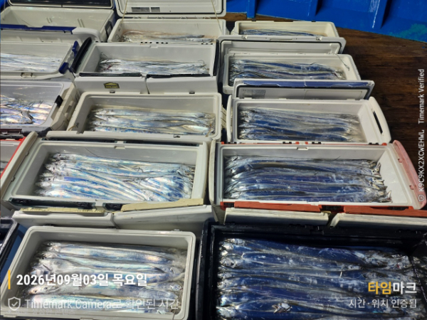 BandPhoto_2026_09_03_07_42_34_6(1).jpg