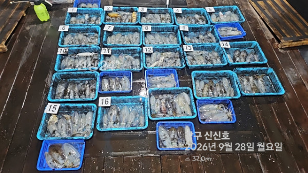 신신낚시 강구점 신신호_사진_20260929_1.jpg