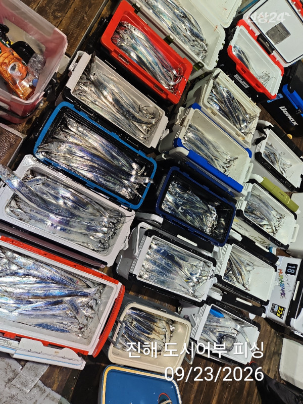 KakaoTalk_20260923_062051575_10.jpg