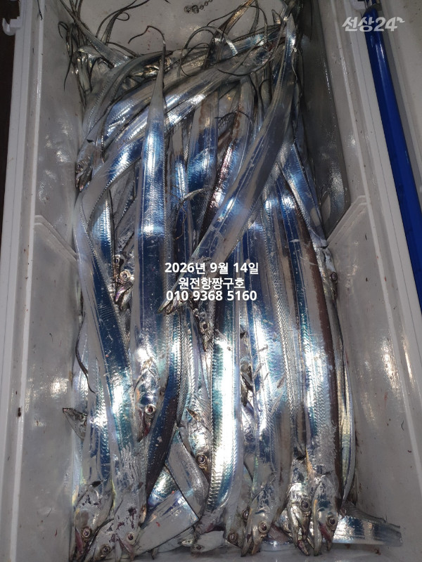 KakaoTalk_20260914_114003950_19.jpg