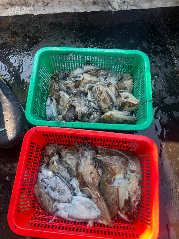 KakaoTalk_20260916_184309132.jpg