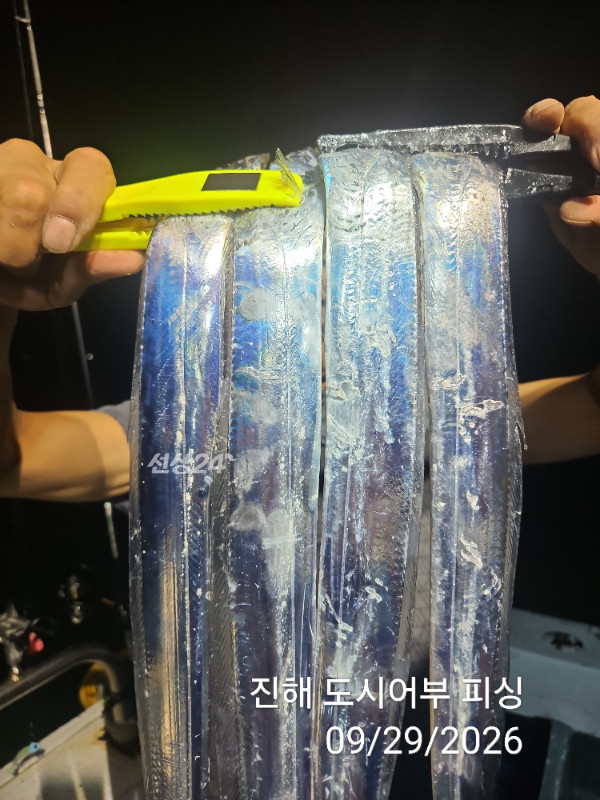KakaoTalk_20260929_052220398_02.jpg