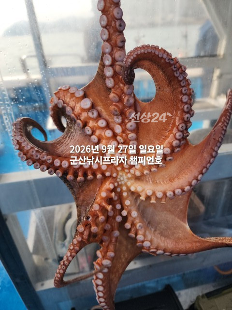 KakaoTalk_20260927_093902313.jpg
