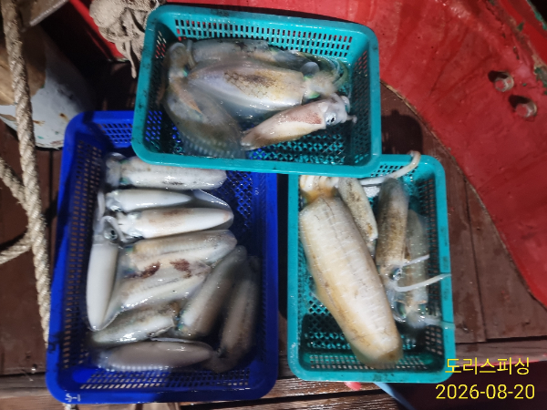 IMG_20260820_015237.jpg