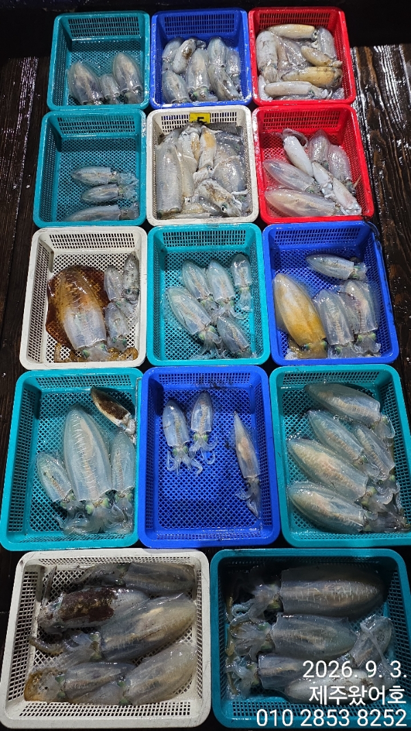 제주왔어호_사진_20260903_2.jpg