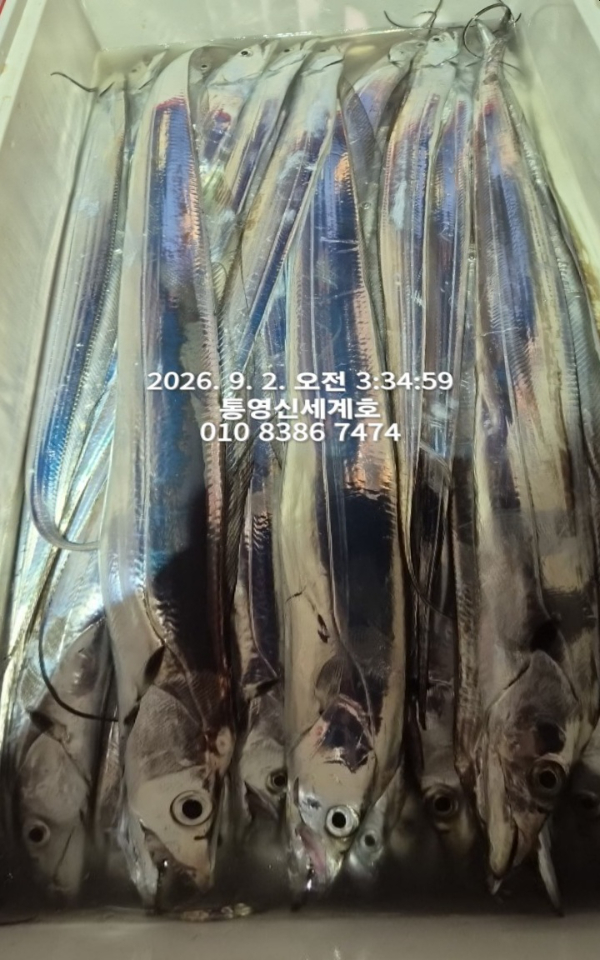 1788303427840.jpg