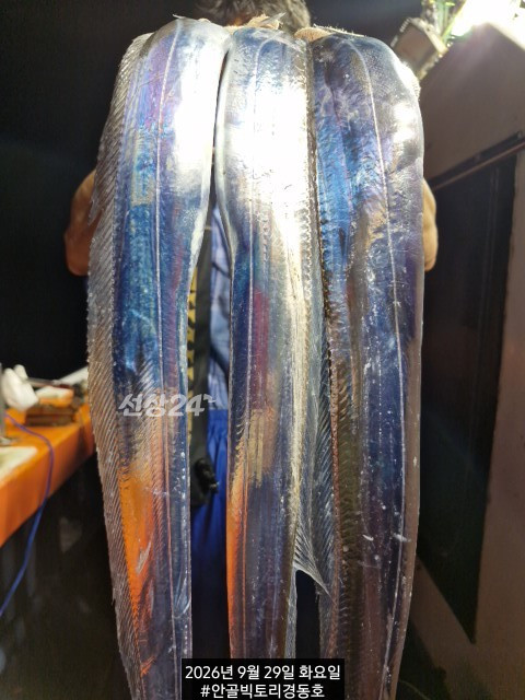 1790639742726.jpg