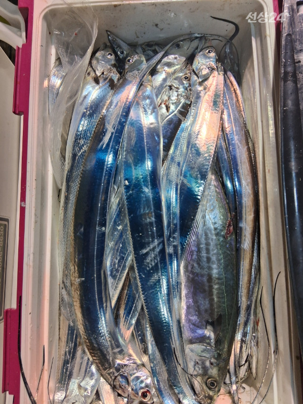 1004피싱_사진_20260920_7.jpeg