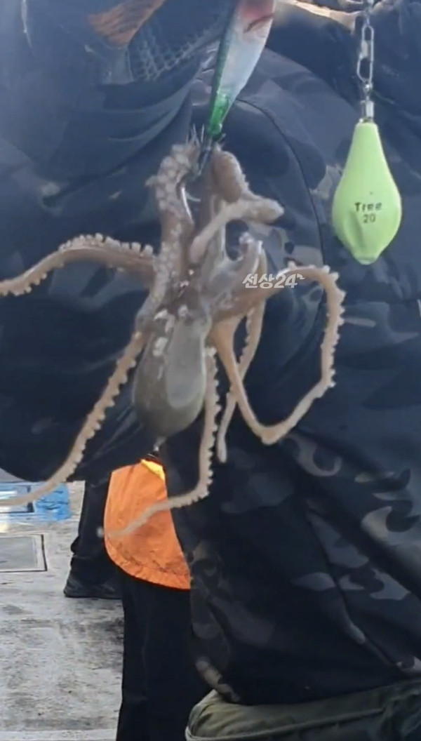 Screenshot_20260930_130834_Video Player.jpg