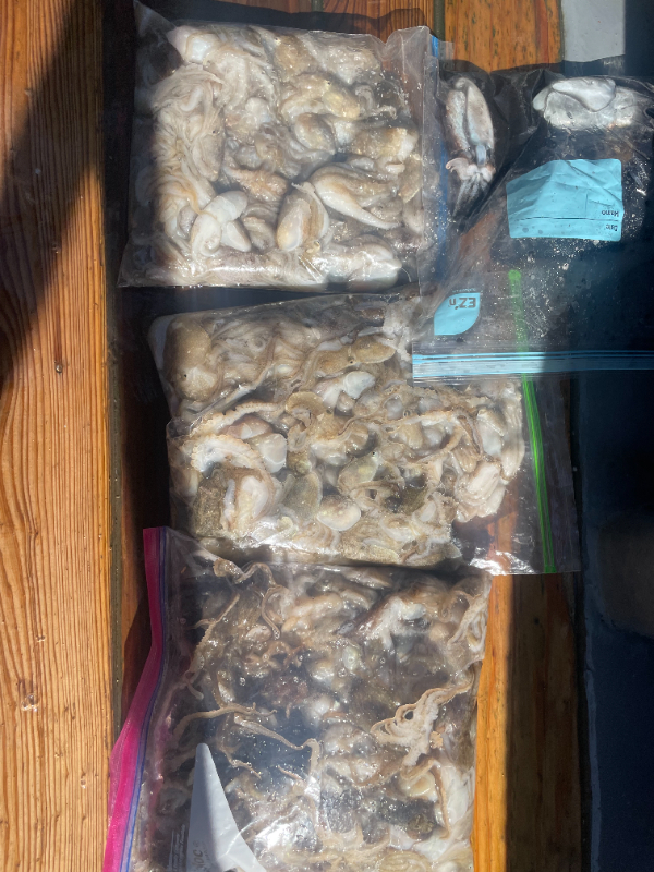 1000061173.jpg