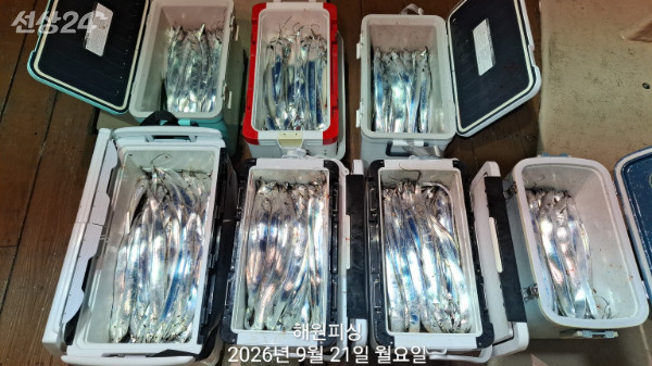 1000036861.jpg