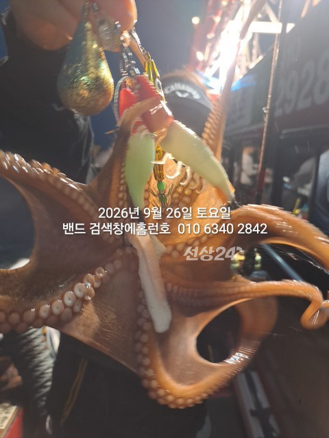 1000025961.jpg
