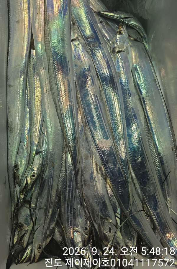 1000055599.jpg