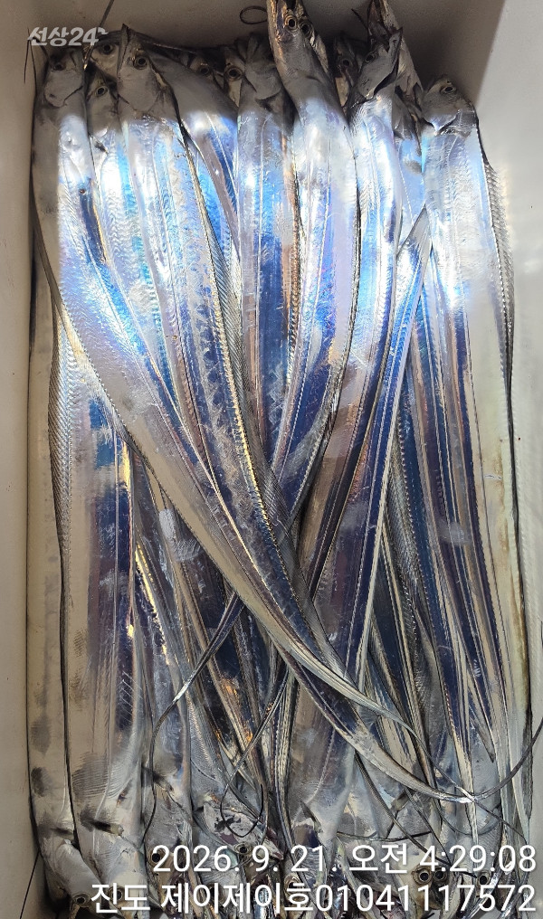 1000055377.jpg