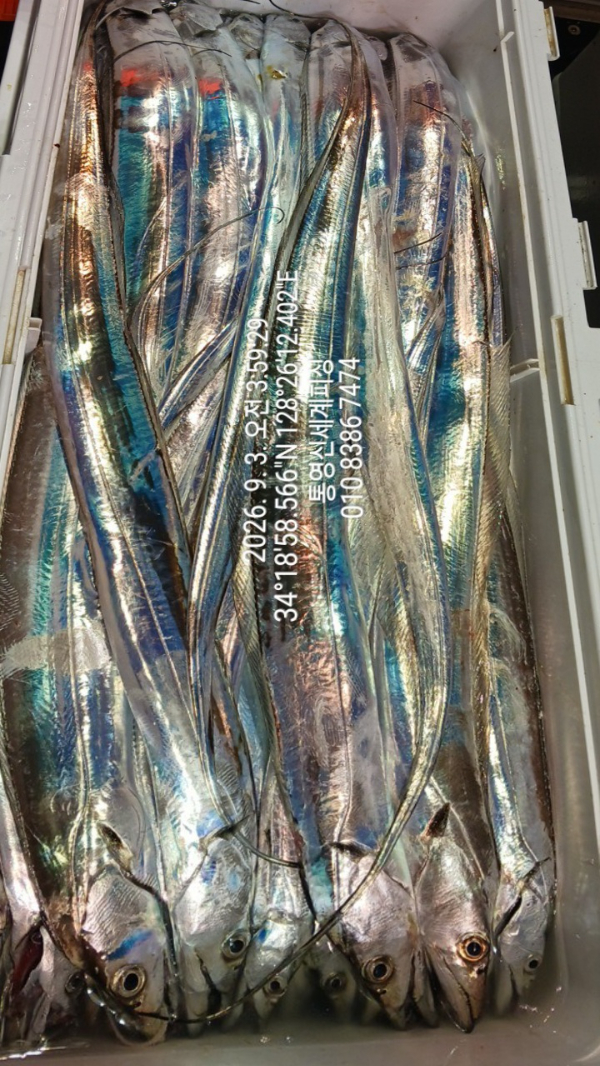 1788385999486.jpg