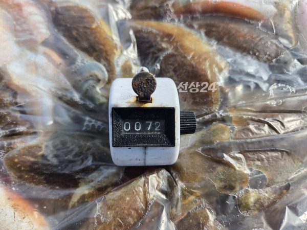 24226.jpg