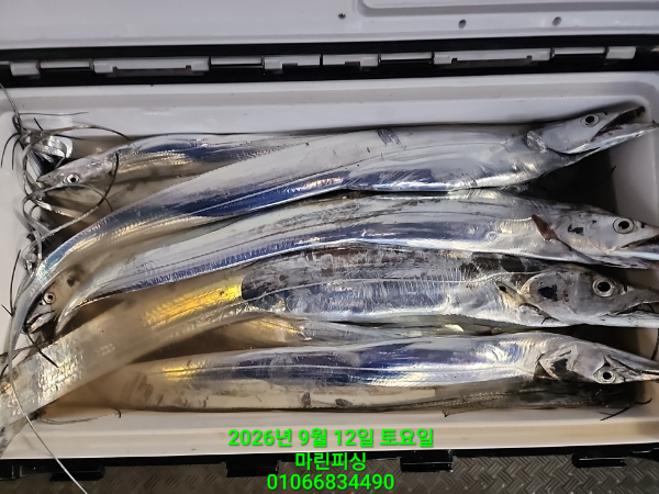 KakaoTalk_20260912_083532058_28.jpg