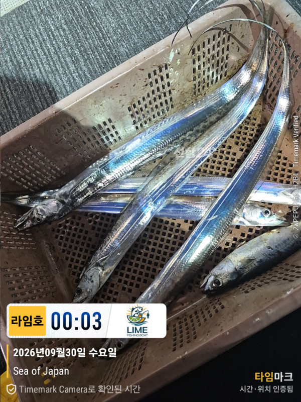 KakaoTalk_20260930_174309215_03.jpg