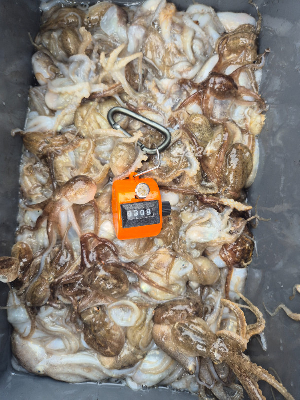 1000030093.jpg