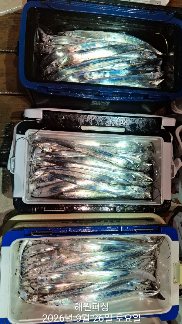 1000037003.jpg
