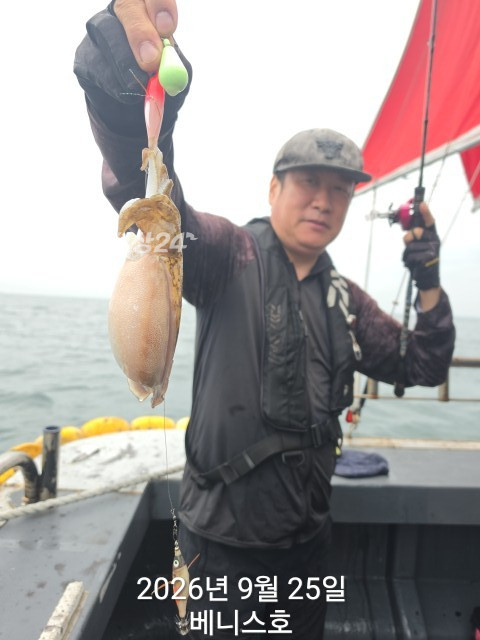 KakaoTalk_20260925_154958978_15.jpg