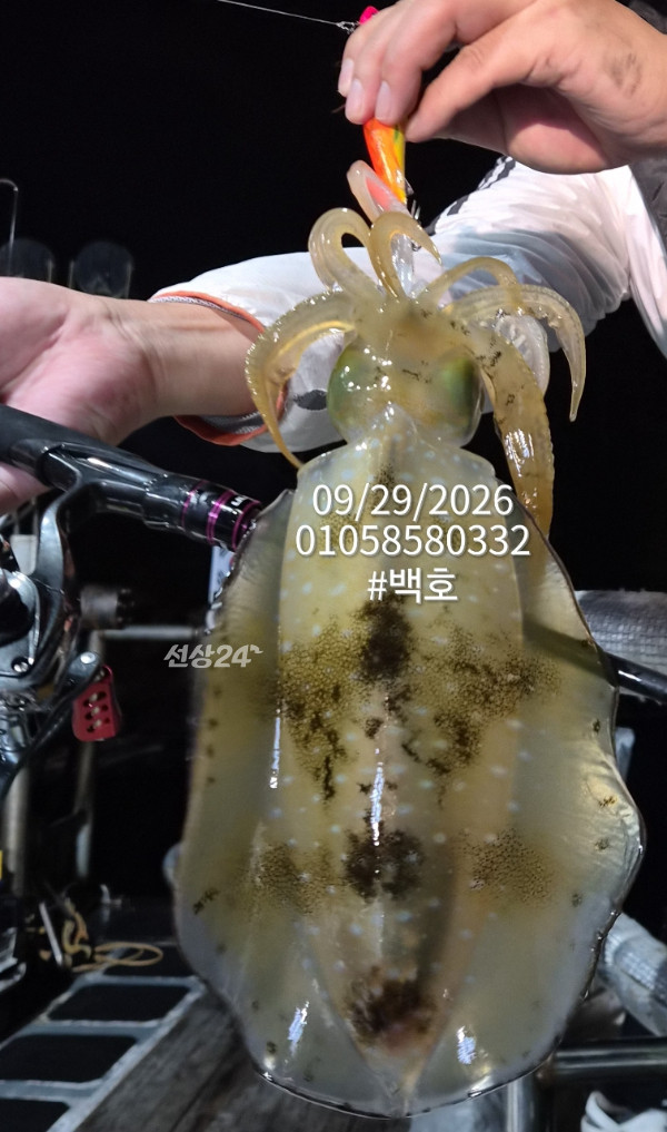88133.jpg