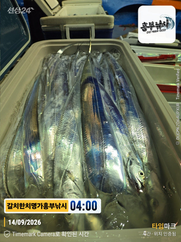 2026-09-14 04.00.19__(제목-갈치한치명가흥부낚시).jpg
