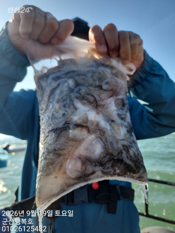 군산행복호_사진_20260919_7.jpg