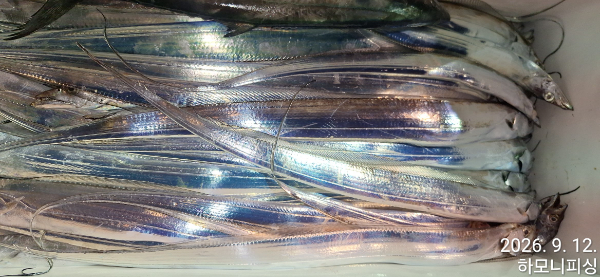 1789168498486.jpg