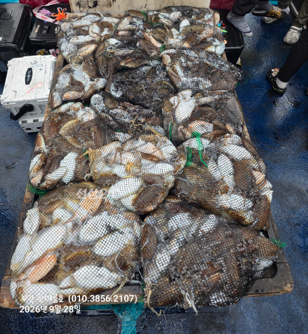 64193.jpg