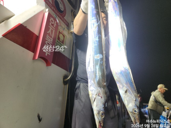 9월28일갈치 (12).jpg
