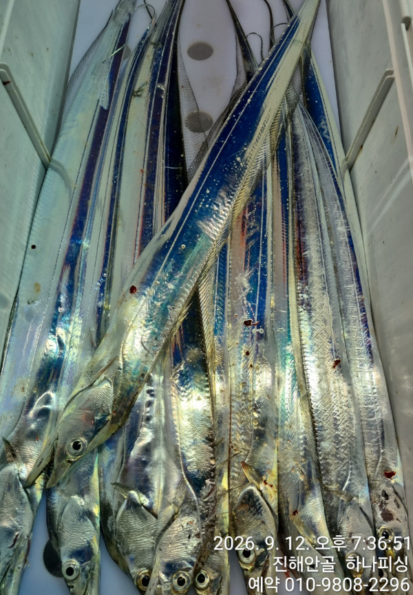 105053.jpg