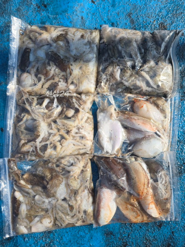 1790672172547.jpg
