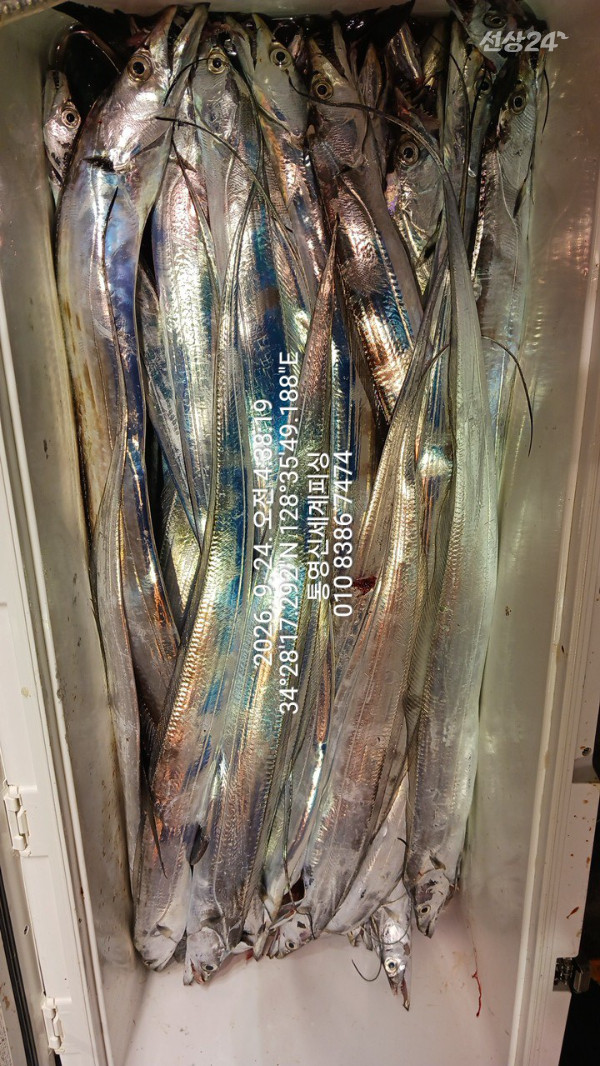 1790198900908.jpg