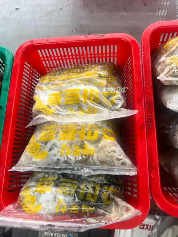 KakaoTalk_20260924_172314773_12.jpg