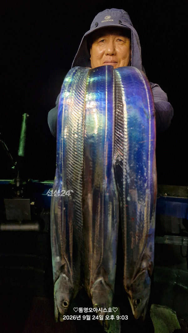 83251.jpg