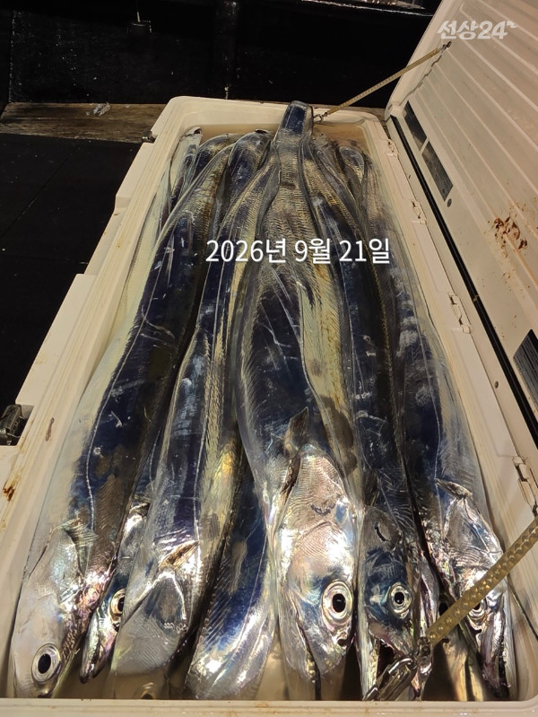 D5CA0550-E9C2-4CB5-9523-400E6AEBB301.jpeg