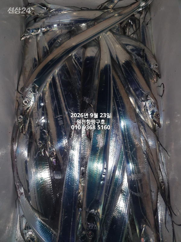 KakaoTalk_20260923_112349414_04.jpg