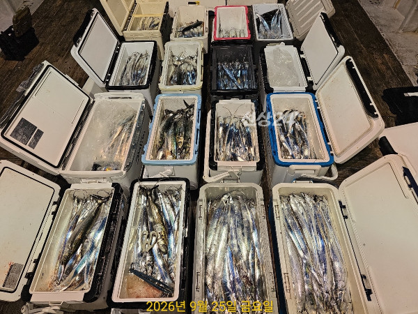 CBF77943-FED1-41A0-9197-A804160B2AC3.jpeg