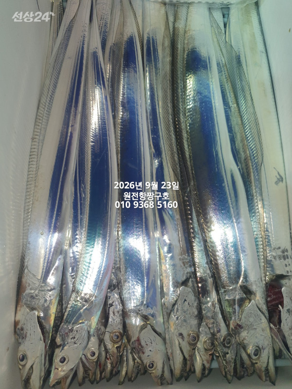 KakaoTalk_20260923_112349414_10.jpg