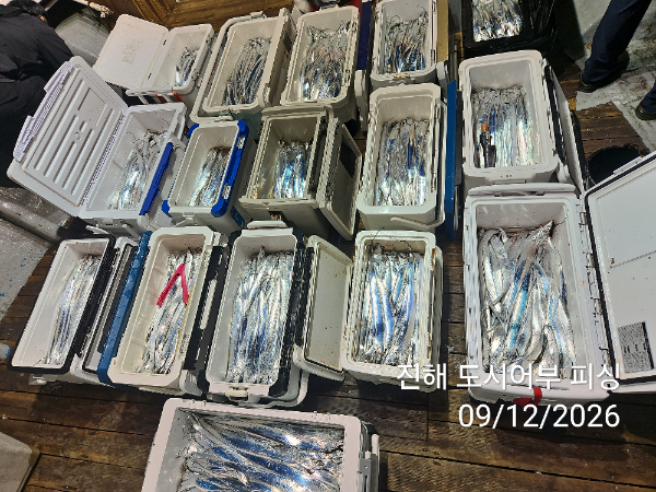 KakaoTalk_20260912_055008502_07.jpg