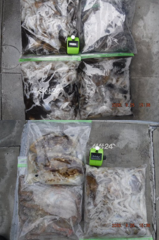 스크린샷 2026-09-26 105931.png