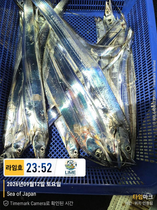 KakaoTalk_20260913_172123987_05.jpg