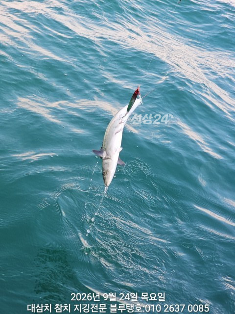 20260924_074216.jpg
