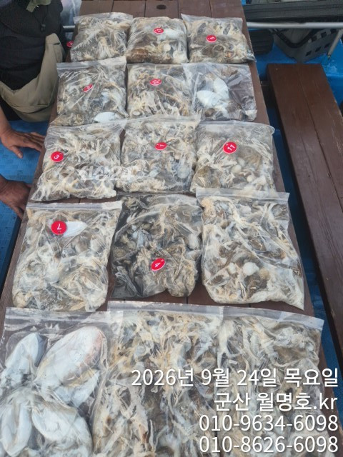17073.jpg