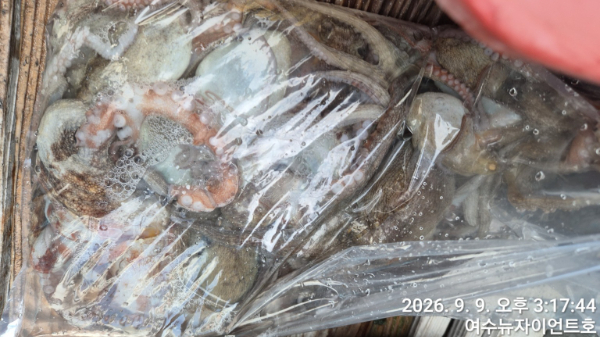 1788937209038-2.jpg