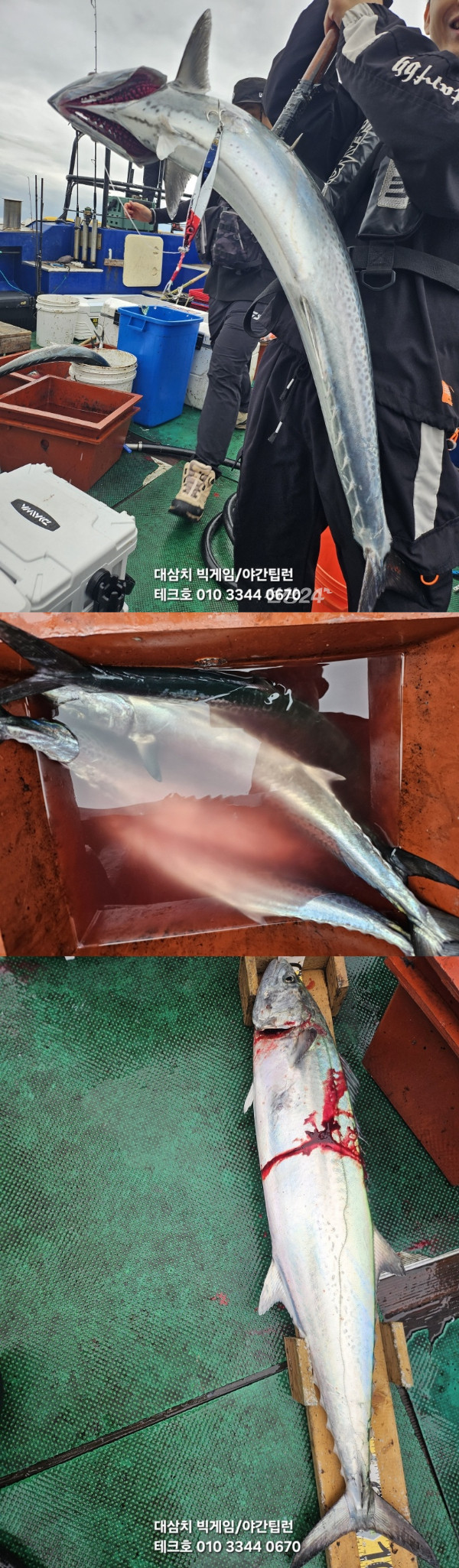 KakaoTalk_20260926_175208271_03-vert.jpg